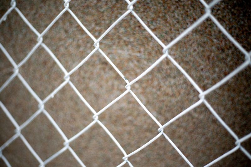 Chain Link Fence Painting