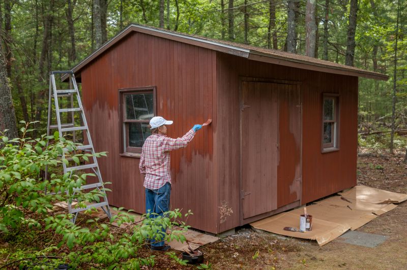 Shed Painting Service